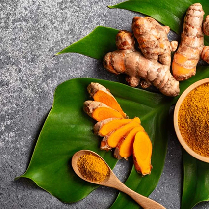 CURCUMA