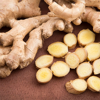 GINGER - KION