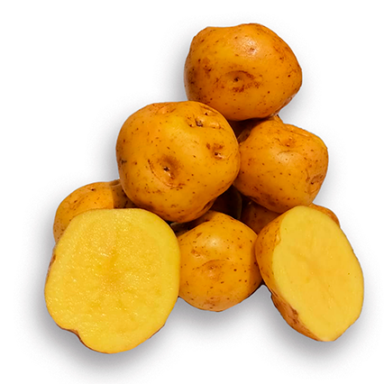 PAPA AMARILLA AMBO