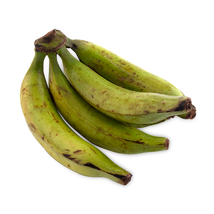 PLATANO BELLACO
