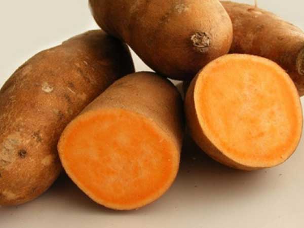 9190339d8b7dbb4acb74e3a221534d5b